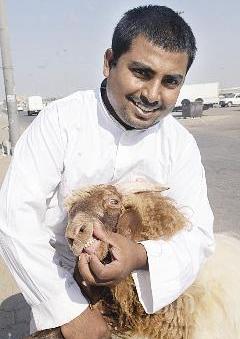 فحص الخروف من الفم