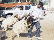 إلى سيارة الزبون