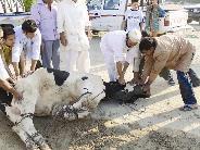 u0635u0648u0631 u0623u0631u0641u0642u062au0647u0627 u0627u0644u0645u0646u0638u0645u0629 u0645u0639 u0628u064au0627u0646u0647u0627 u0642u0627u0626u0644u0629 u0627u0646u0647u0627 u0627u0644u062au0642u0637u062a u0641u064a u0627u0644u0643u0648u064au062a