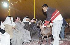 جولة أمام الجمهور