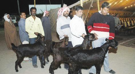 استعراض للمفاتن