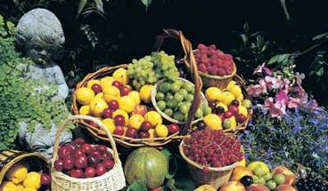 يجب أن يحتوي طعام الإنسان على الألياف النباتية