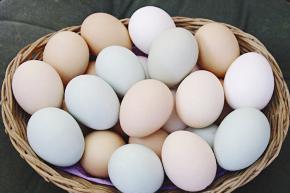 البيض والروبيان مقويات جنسية