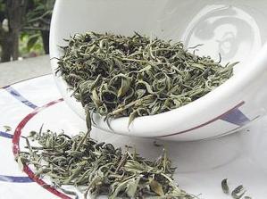 الزعتر يمنع الالتهابات ويقوي المناعة ويقي من أمراض القلب والشرايين