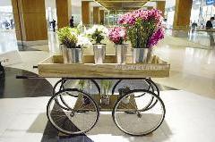 عربة تحمل تشكيلة واسعة من ابتكارات «فلاور ستوري»