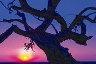 المغيب المجهول