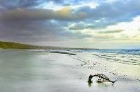 اتساع الأفق