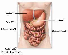 الجهاز الهضمي يتأثر بالطقس