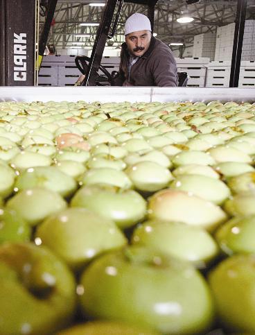 u062au0641u0627u062d u0627u0644u062cu0648u0644u0627u0646 ... u0634u0627u0647u062f u0639u0644u0649 u0627u0644u0627u0645u0643u0627u0646u0627u062a u0627u0644u0632u0631u0627u0639u064au0629 u0644u0644u0627u0631u0636 u0627u0644u0633u0648u0631u064au0629  t(u0631u0648u064au062au0631u0632)