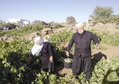 إحدى الأسر الفلاحية في جبل العرب