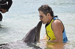 اللهو مع الدلافين