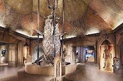 روائع «الغرف المفقودة»