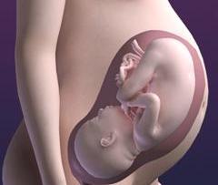 الحامل في الأشهر الأخيرة عليها أن تُفطر