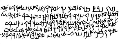 u0646u0642u0634 u0627u0644u0646u0645u0627u0631u0629 (u0646u0642u0634 u0646u0628u0637u064a)