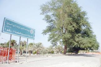 حديقة الشويخ ... ازيل سورها  					