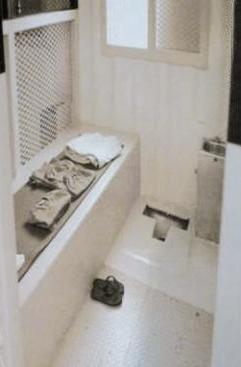 u0632u0646u0632u0627u0646u0629 u0627u0644u0631u0628u064au0639u0629 u0641u064a u063au0648u0627u0646u062au0627u0646u0627u0645u0648r