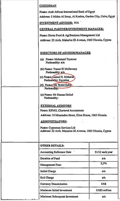 حسابات أخرى لآل مبارك في شركات خارج مصر 