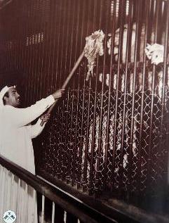 الشيخ جابر العبد الله يطعم أحد النمور سنة 1957