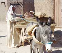 مشهد من العمل