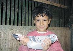 طفل يعشق الحمام