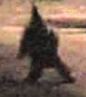 العفريت كما بدا في شريط الفيديو 