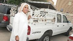 الوانيت الذي يستخدمه	(تصوير نايف عقلة)