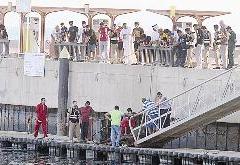 نظرات وداعية على الثور