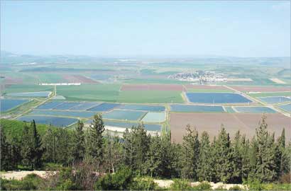 u0645u0646u0637u0642u0629 u0639u064au0646 u062cu0627u0644u0648u062a u0627u0644u064au0648u0645