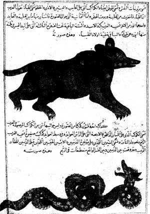 u062au0635u0648u064au0631 u062cu062fu0627u0631u064a u0628u0627u0644u0641u0633u064au0641u0633u0627u0621