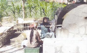 الكداية... «هونغ كونغ مصر»