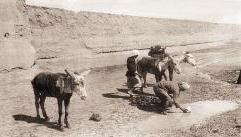 احدى البرك التي كانت متوافرة في الفرجان