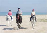 ركوب الخيل على الشاطيء