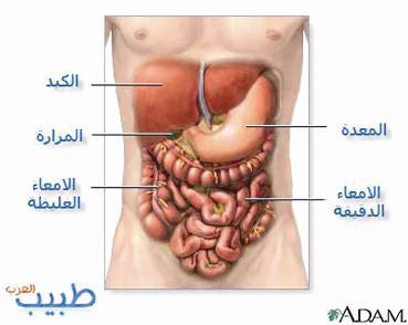 مشاكل الجهاز الهضمي الشغل الشاغل للإنسان منذ القدم