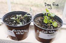 ... وبعد مرور 5 ايام