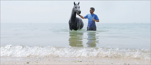 ناصر الديحاني و«سفير الكويت» في بحر الشويخ (تصوير أسعد عبدالله)