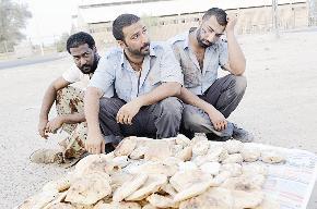 علي والزيد والعميري	(تصوير- نايف العقلة)