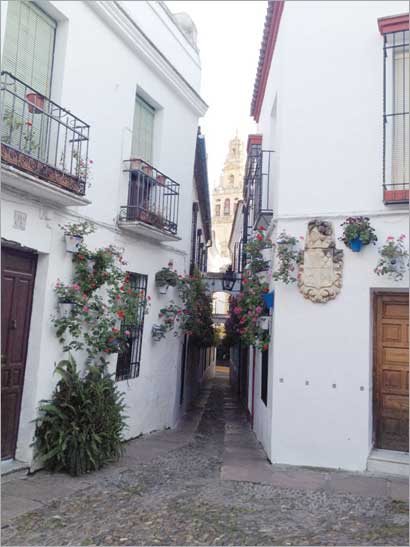 ملامح الحضارة العربية متواجدة في كل أحياء غرناطة