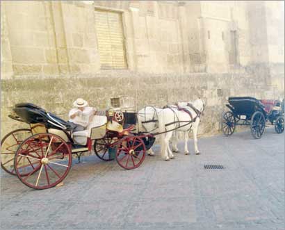 العربات التي تجرها الخيول تتجول في شوارع قرطبة