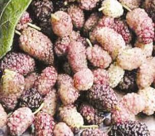 u0627u0644u062au0648u062a u064au0643u0627u0641u062d u0627u0644u0625u0645u0633u0627u0643 u0648u064au0639u0627u0644u062c u0627u0644u062au0647u0627u0628 u0627u0644u0645u0639u062fu0629 u0648u0627u0644u0623u0645u0639u0627u0621r