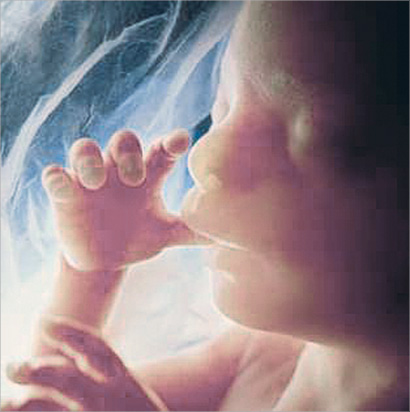 u0645u0630u0627u0642 u0627u0644u0623u0637u0639u0645u0629 u0627u0644u062au064a u062au062au0646u0627u0648u0644u0647u0627 u0627u0644u0623u0645 u064au0635u0644 u0625u0644u0649 u0627u0644u062cu0646u064au0646