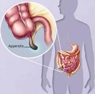 u0627u0644u0632u0627u0626u062fu0629 u0627u0644u062fu0648u062fu064au0629 u0644u0647u0627 u0648u0638u064au0641u0629 u0641u064a u0627u0644u062cu0633u0645r