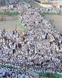 جمع من الحجاج في طريقهم إلى جبل عرفات	 (ا ف ب)