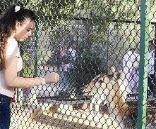 تواصل مع الحيوانات