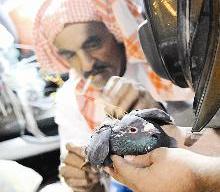 تحضير الطعم