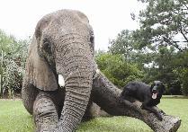 ... وترتاح على ساقها