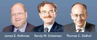 u0635u0648u0631u0629 u0645u0634u062au0631u0643u0629 u0644u0631u0648u062bu0645u0627u0646 (u0625u0644u0649 u0627u0644u064au0633u0627u0631) u0648u0634u064au0643u0645u0627u0646 (u0627u0644u0648u0633u0637) u0648u0633u0648u062f u0647u0648u0641 t(u0623 u0641 u0628)r