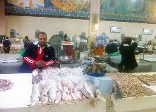 u0627u0644u0628u0633u0637u0627u062a u064au0643u062bu0631 u0639u0644u064au0647u0627 u0627u0644u0633u0645u0643 u0627u0644u0645u0633u062au0648u0631u062f