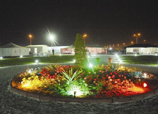 هل يسكن الكويتيون العشيش؟!