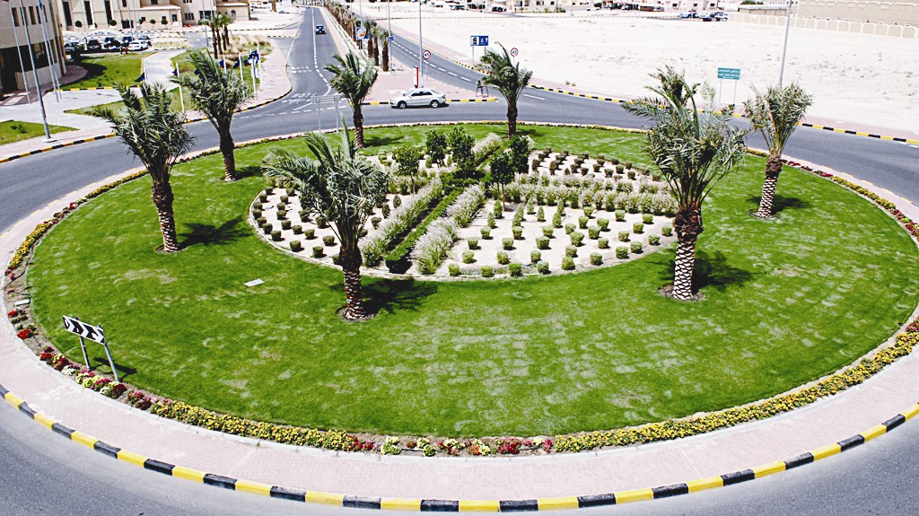 أحد الدوارات المنفذة فيها عملية التخضير