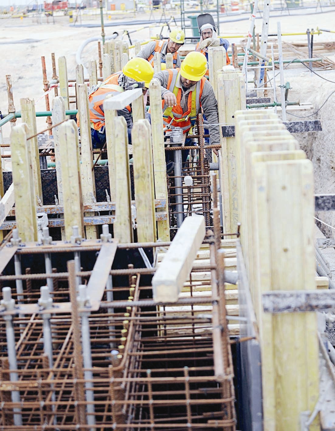 المشروع الجديد